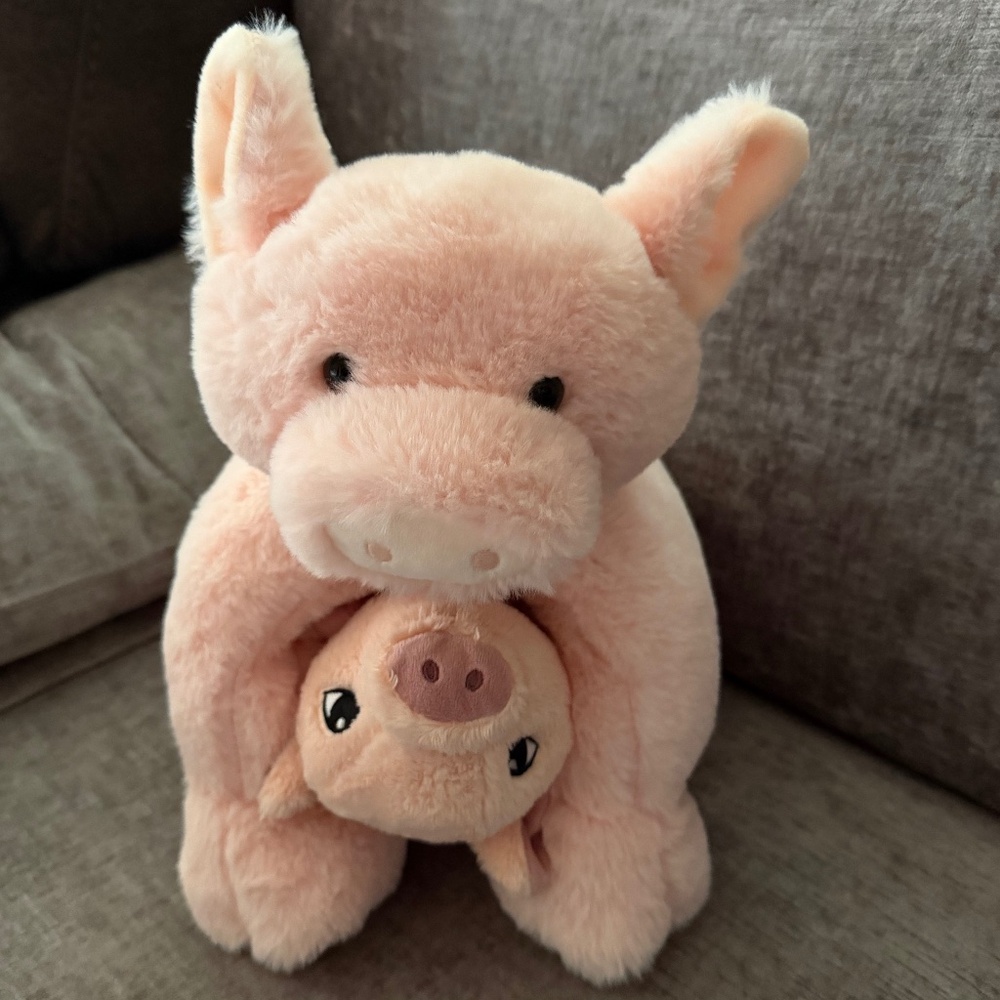 Piggy aroma home and stuffy